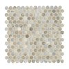 Msi Stonella Penny Round Sample Glossy Glass Mesh-Mounted Mosaic Tile, 1 sq ft ZOR-MD-0558-SAM